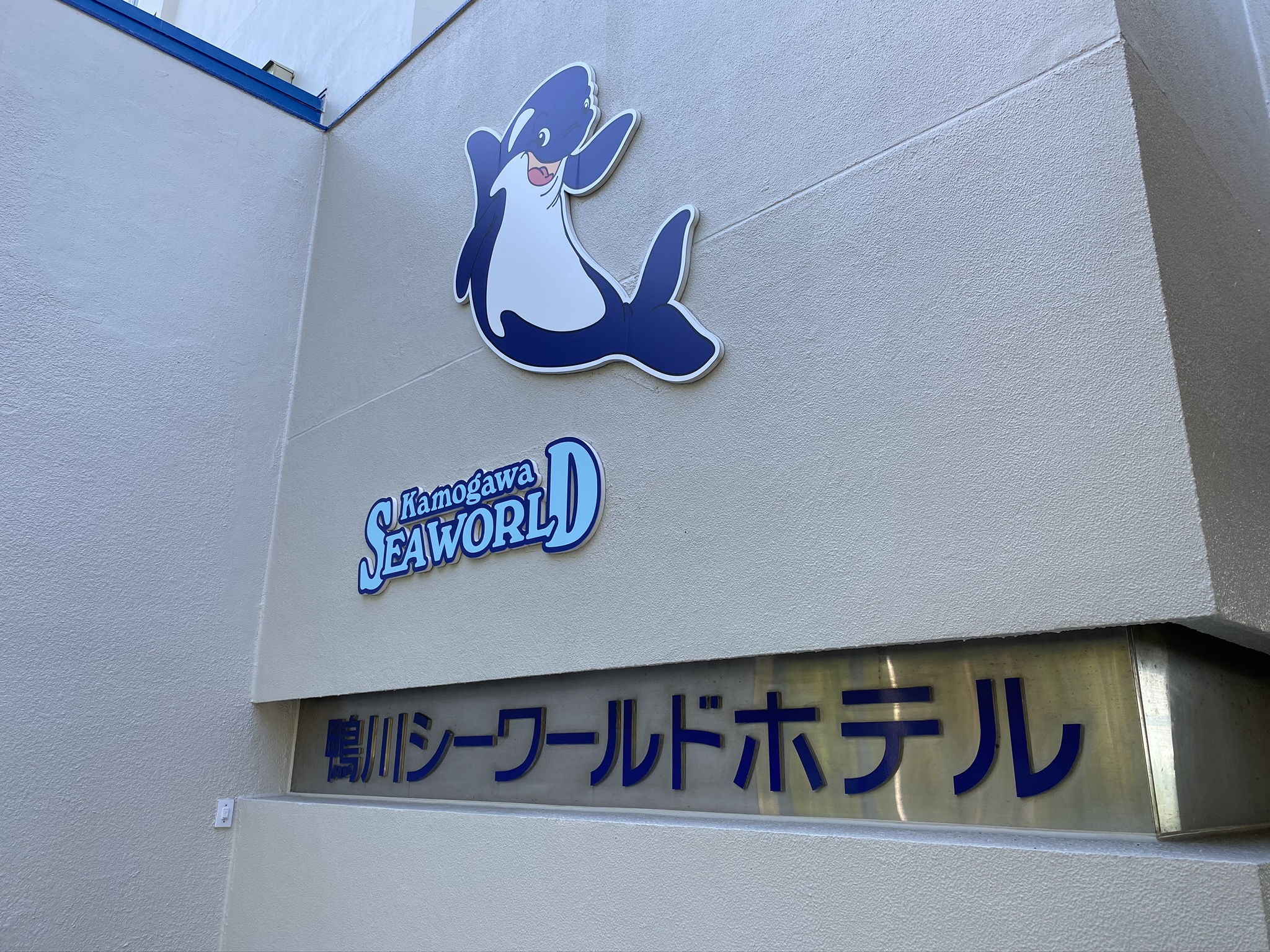 鴨川シーワールド 夜の水族館探検に参加してきました！ | 元 両生爬虫類飼育員 雅のブログ